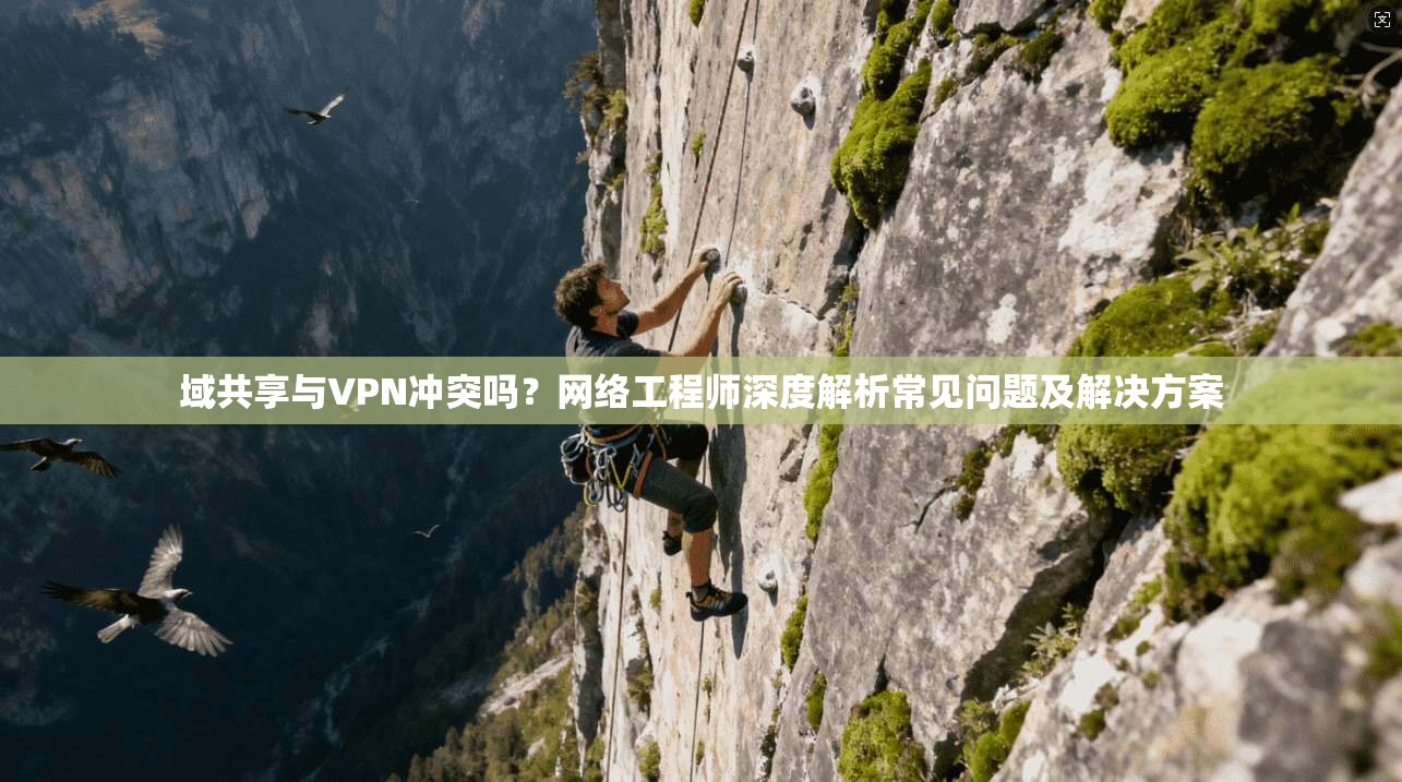 域共享与VPN冲突吗？网络工程师深度解析常见问题及解决方案