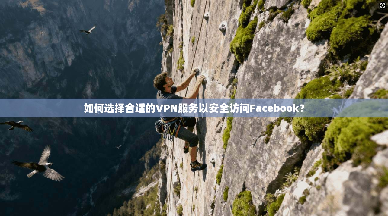 如何选择合适的VPN服务以安全访问Facebook？