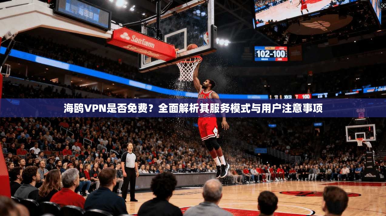 海鸥VPN是否免费？全面解析其服务模式与用户注意事项