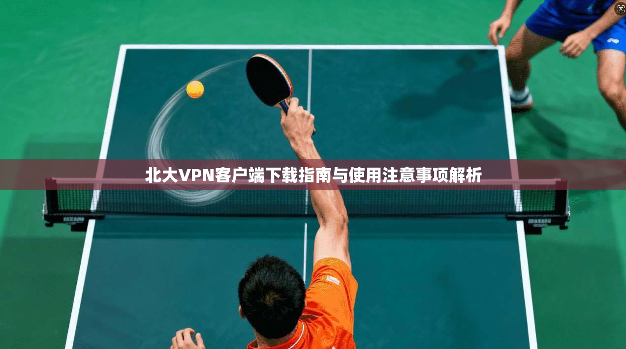 北大VPN客户端下载指南与使用注意事项解析