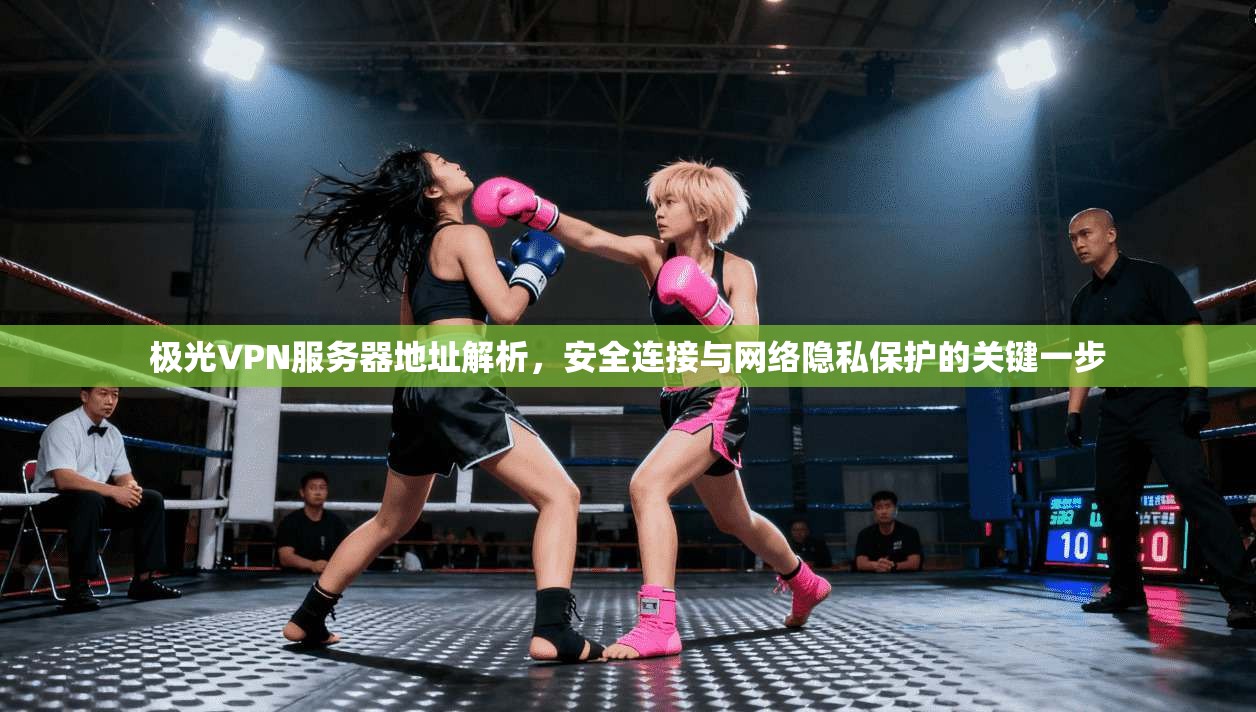 极光VPN服务器地址解析，安全连接与网络隐私保护的关键一步