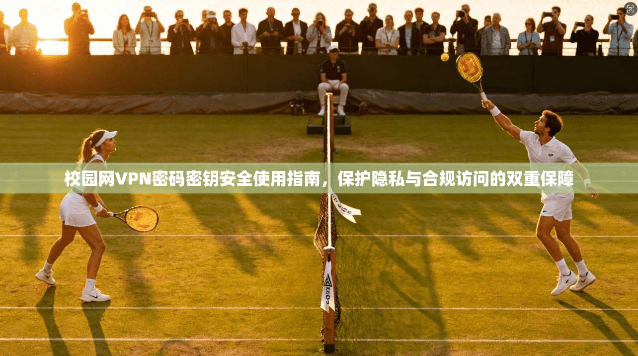校园网VPN密码密钥安全使用指南，保护隐私与合规访问的双重保障