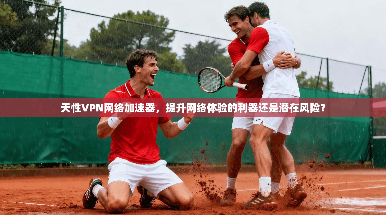 天性VPN网络加速器，提升网络体验的利器还是潜在风险？