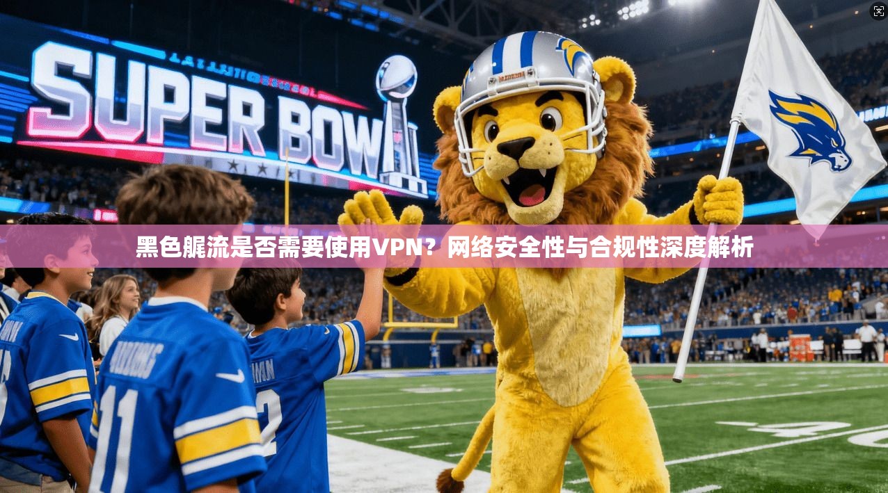 黑色艉流是否需要使用VPN？网络安全性与合规性深度解析