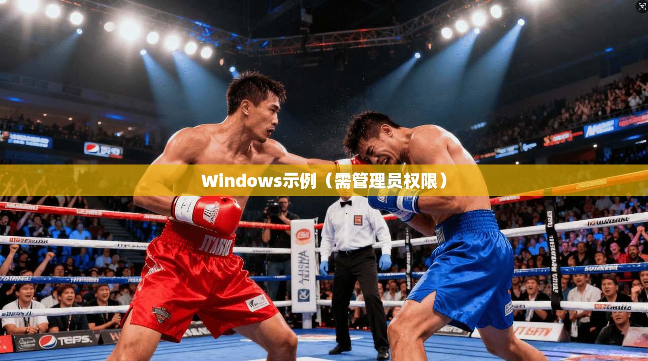 Windows示例（需管理员权限）