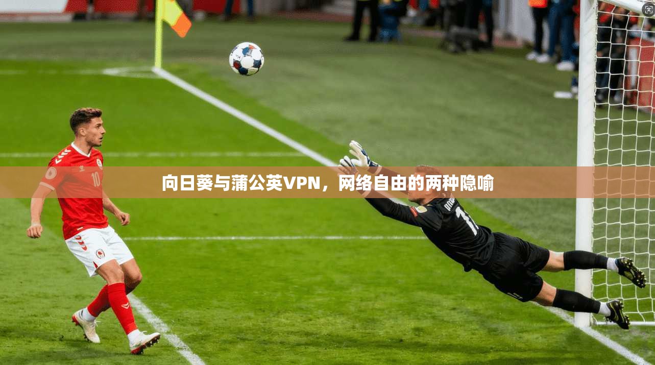 向日葵与蒲公英VPN，网络自由的两种隐喻