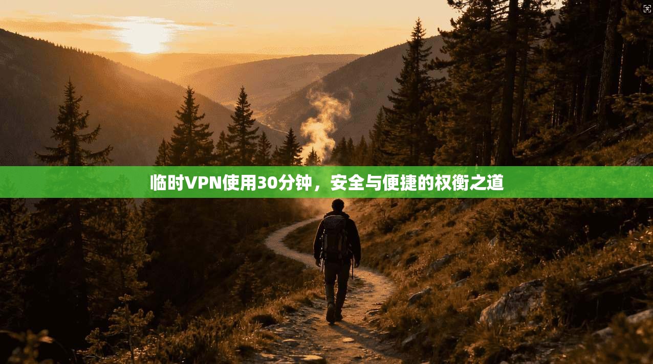 临时VPN使用30分钟，安全与便捷的权衡之道