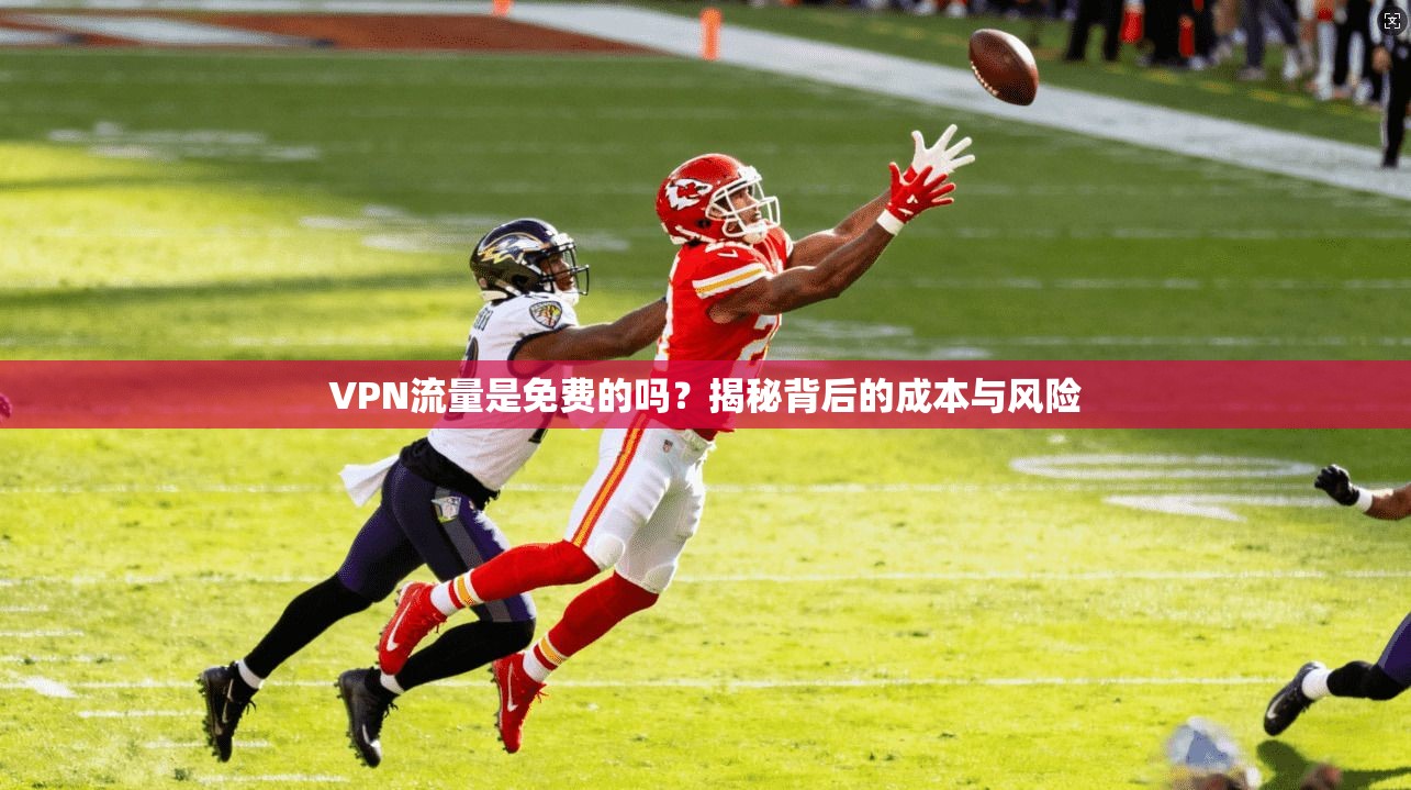 VPN流量是免费的吗？揭秘背后的成本与风险