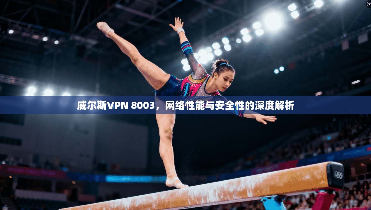 威尔斯VPN 8003，网络性能与安全性的深度解析