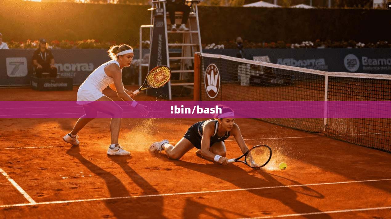!bin/bash