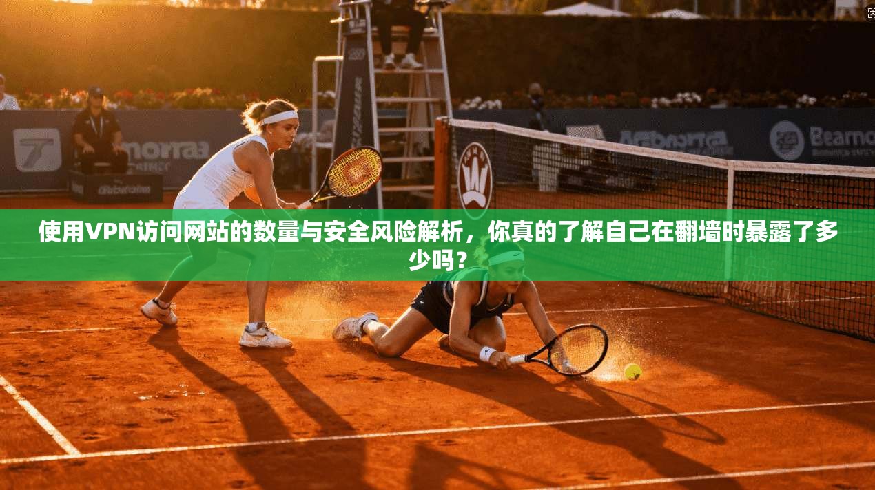 使用VPN访问网站的数量与安全风险解析，你真的了解自己在翻墙时暴露了多少吗？