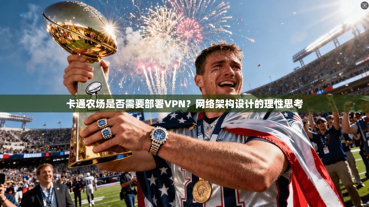 卡通农场是否需要部署VPN？网络架构设计的理性思考