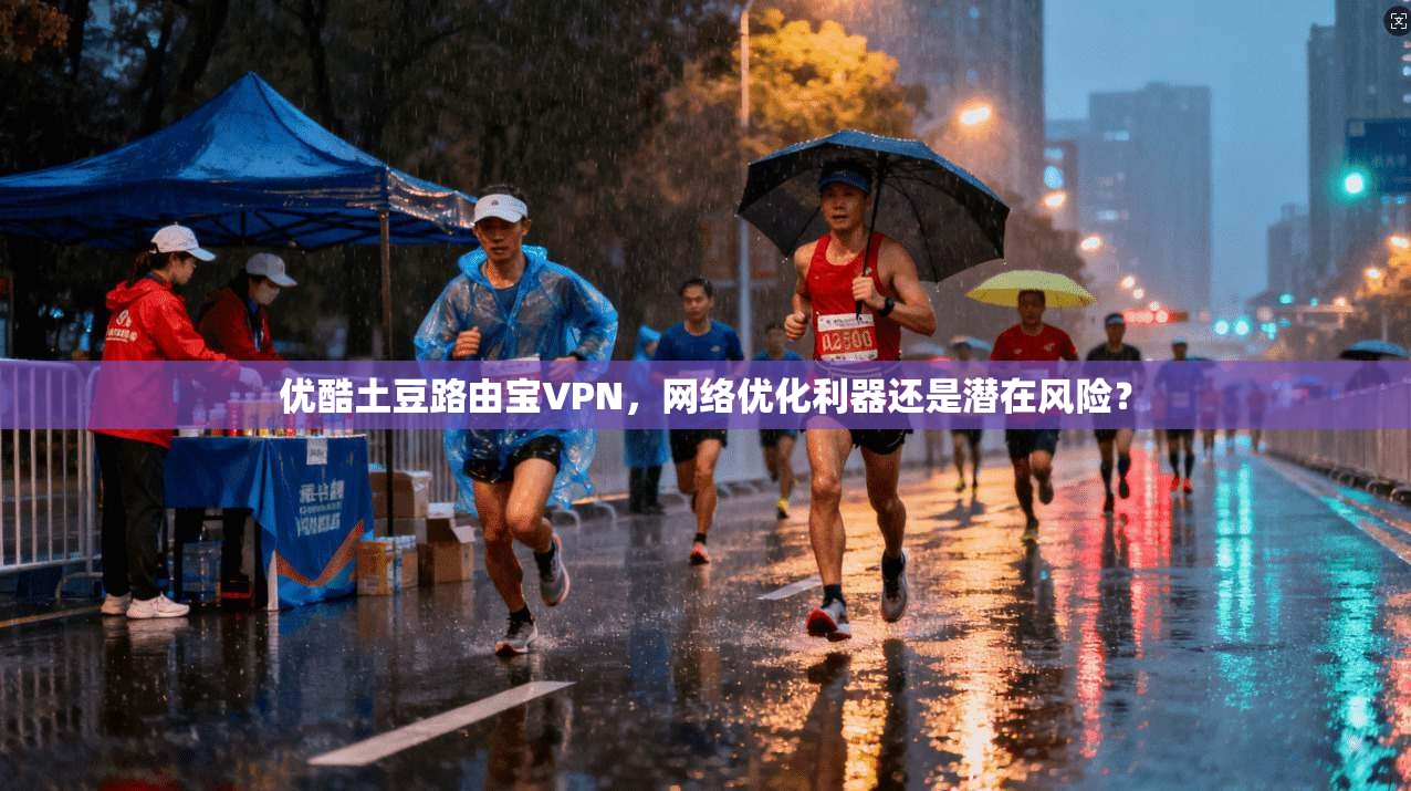 优酷土豆路由宝VPN，网络优化利器还是潜在风险？