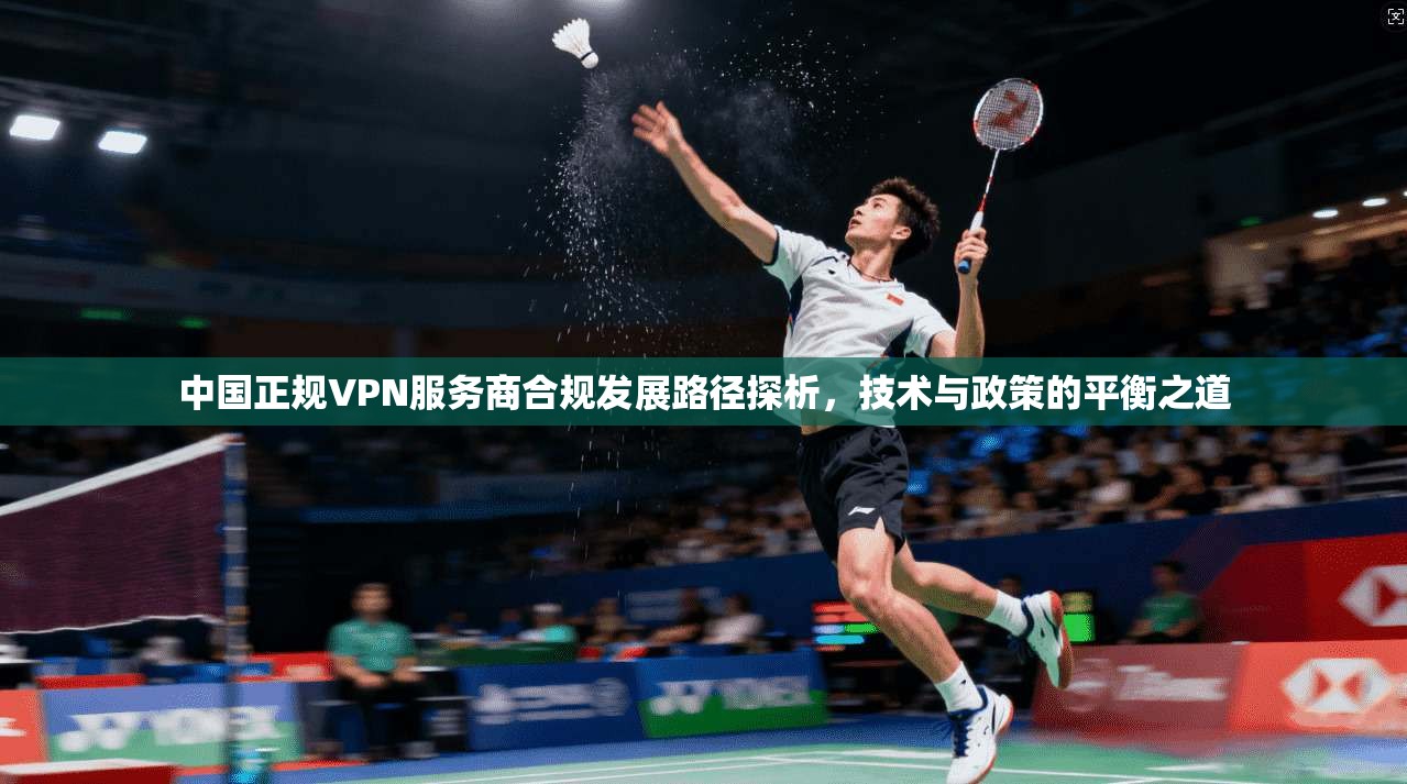 中国正规VPN服务商合规发展路径探析，技术与政策的平衡之道