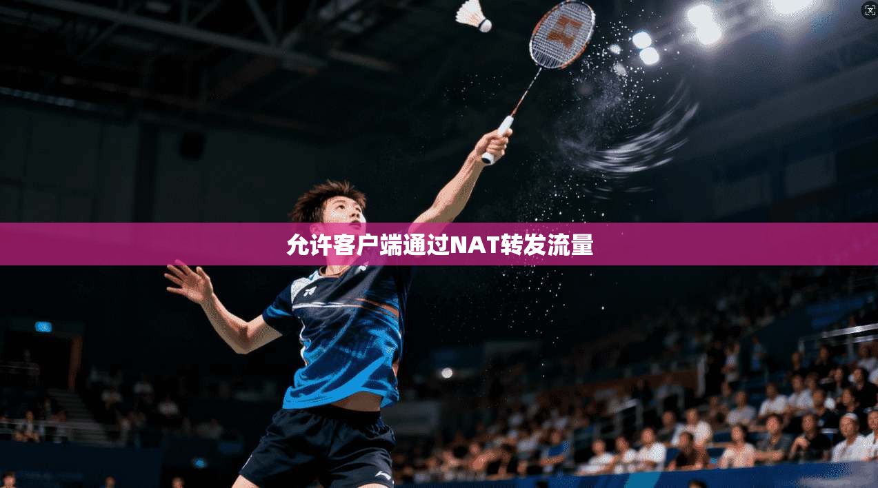 允许客户端通过NAT转发流量