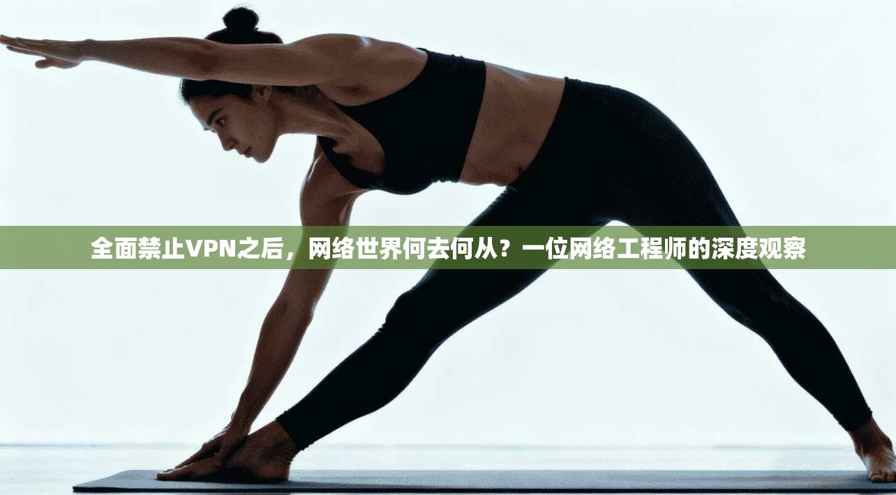 全面禁止VPN之后，网络世界何去何从？一位网络工程师的深度观察