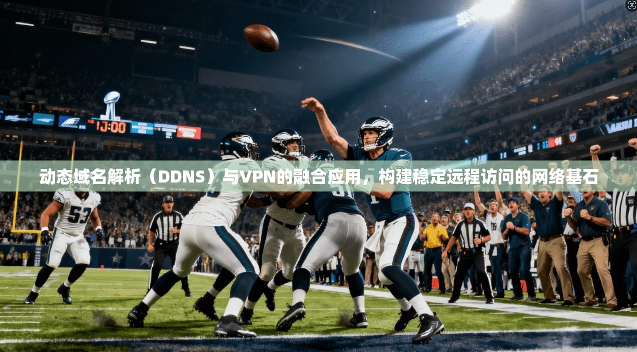 动态域名解析（DDNS）与VPN的融合应用，构建稳定远程访问的网络基石