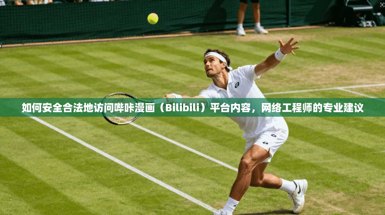 如何安全合法地访问哔咔漫画（Bilibili）平台内容，网络工程师的专业建议