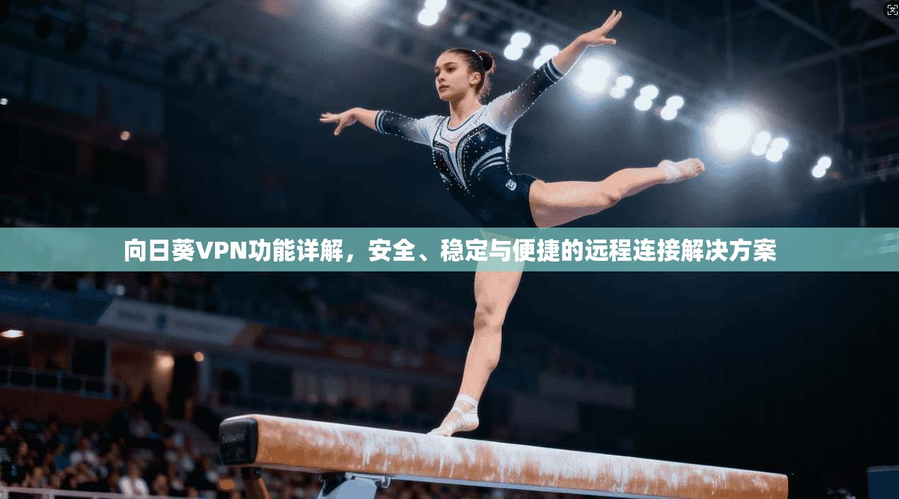 向日葵VPN功能详解，安全、稳定与便捷的远程连接解决方案