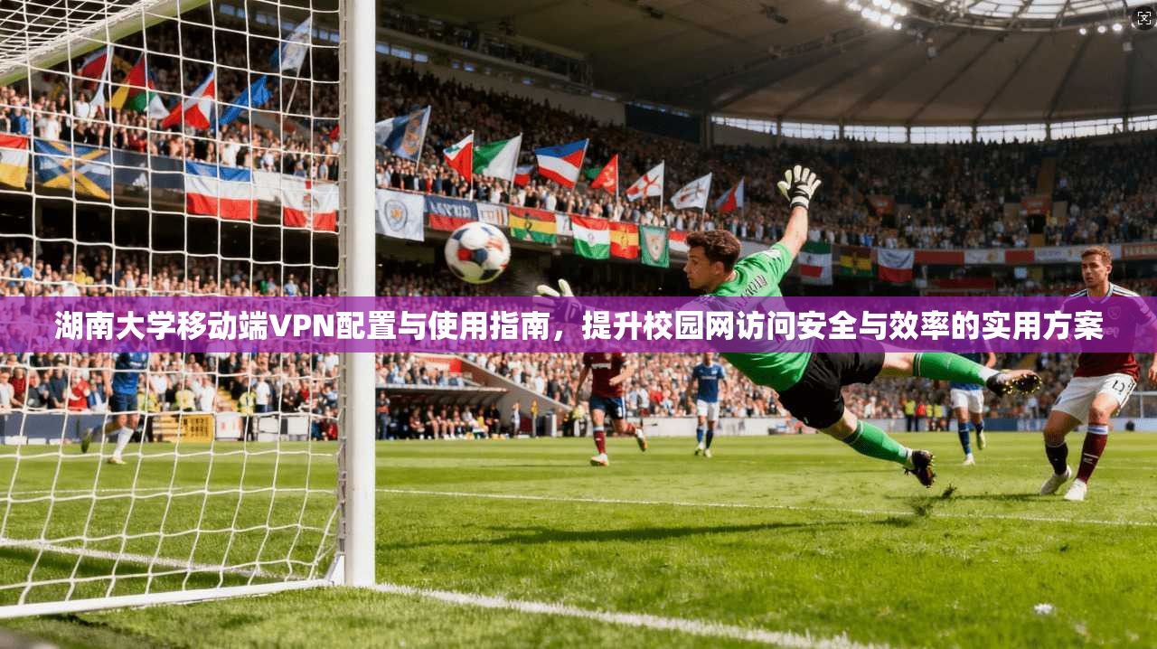 湖南大学移动端VPN配置与使用指南，提升校园网访问安全与效率的实用方案