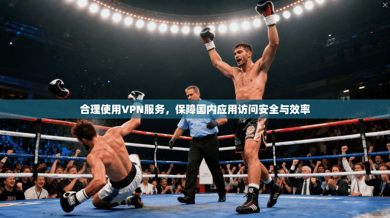 合理使用VPN服务，保障国内应用访问安全与效率