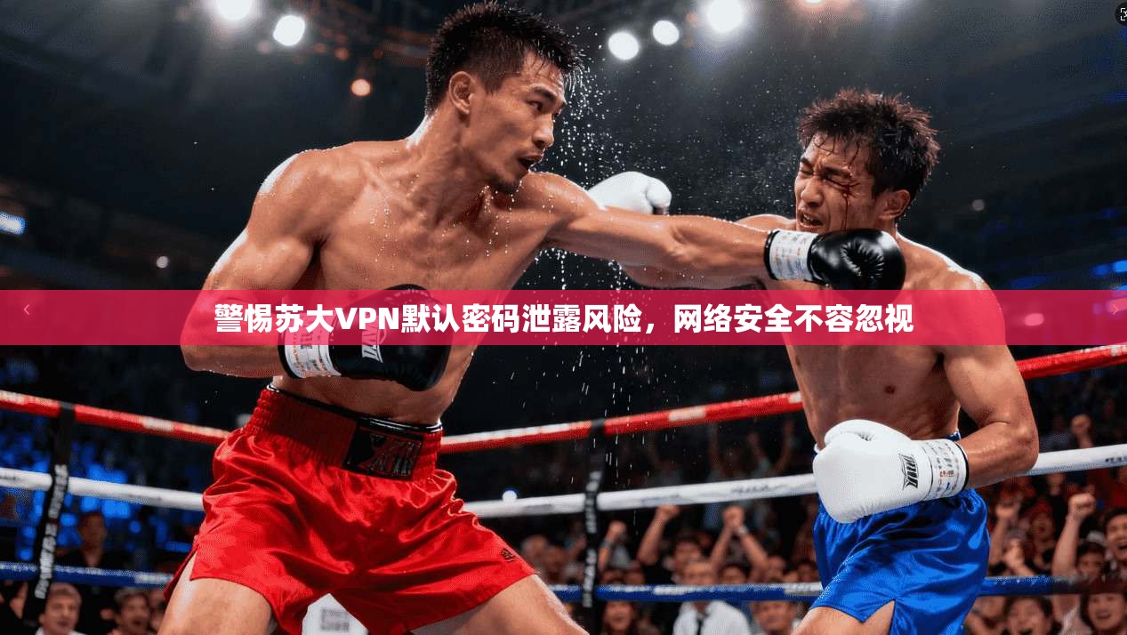 警惕苏大VPN默认密码泄露风险，网络安全不容忽视