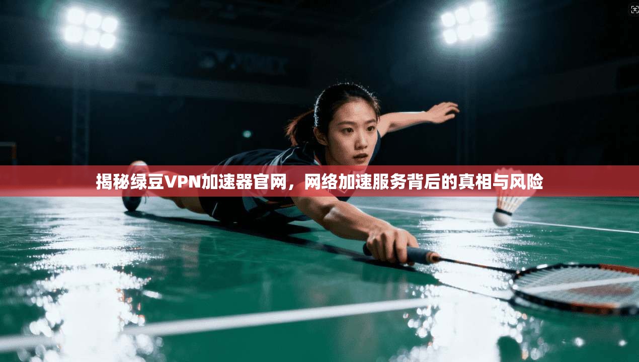 揭秘绿豆VPN加速器官网，网络加速服务背后的真相与风险