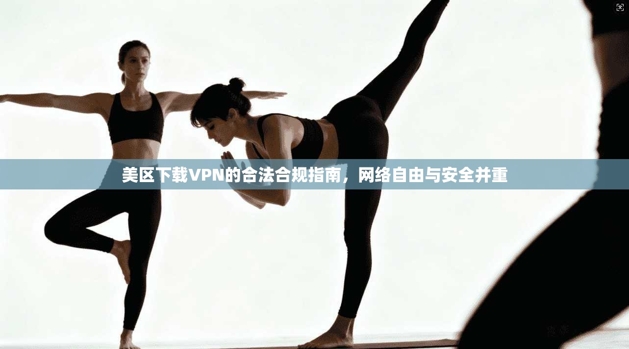 美区下载VPN的合法合规指南，网络自由与安全并重