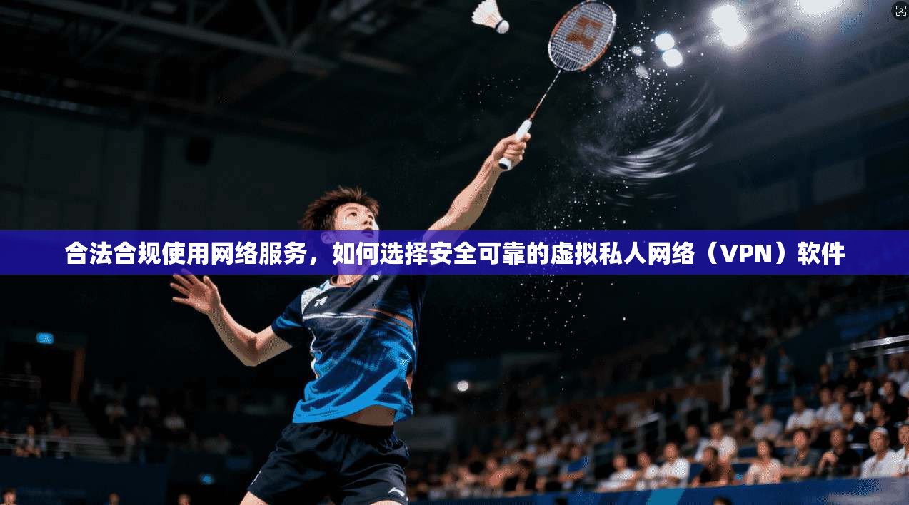 合法合规使用网络服务，如何选择安全可靠的虚拟私人网络（VPN）软件