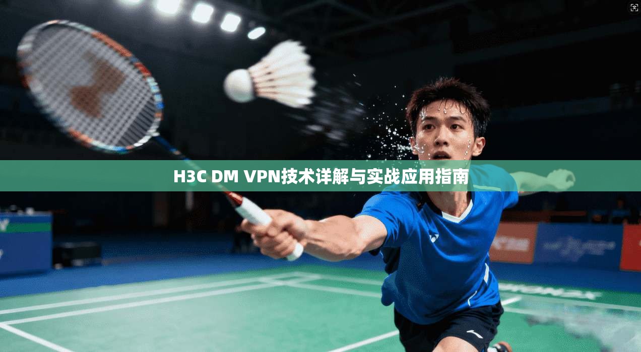 H3C DM VPN技术详解与实战应用指南