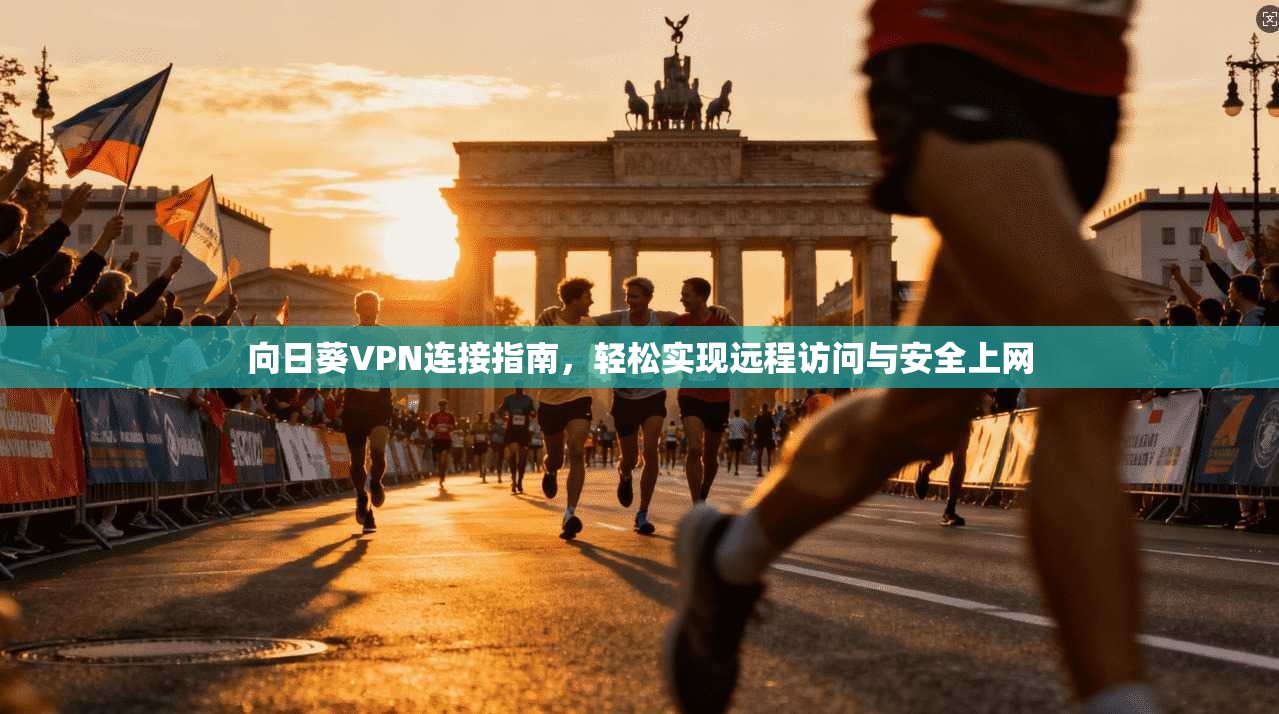 向日葵VPN连接指南，轻松实现远程访问与安全上网