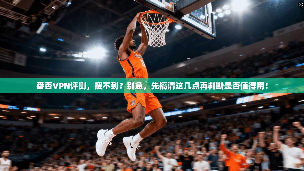 番否VPN评测，搜不到？别急，先搞清这几点再判断是否值得用！
