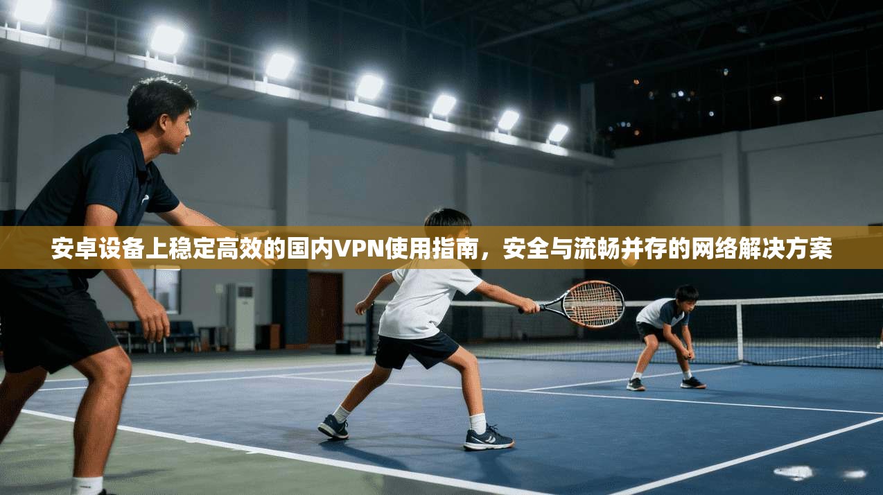 安卓设备上稳定高效的国内VPN使用指南，安全与流畅并存的网络解决方案