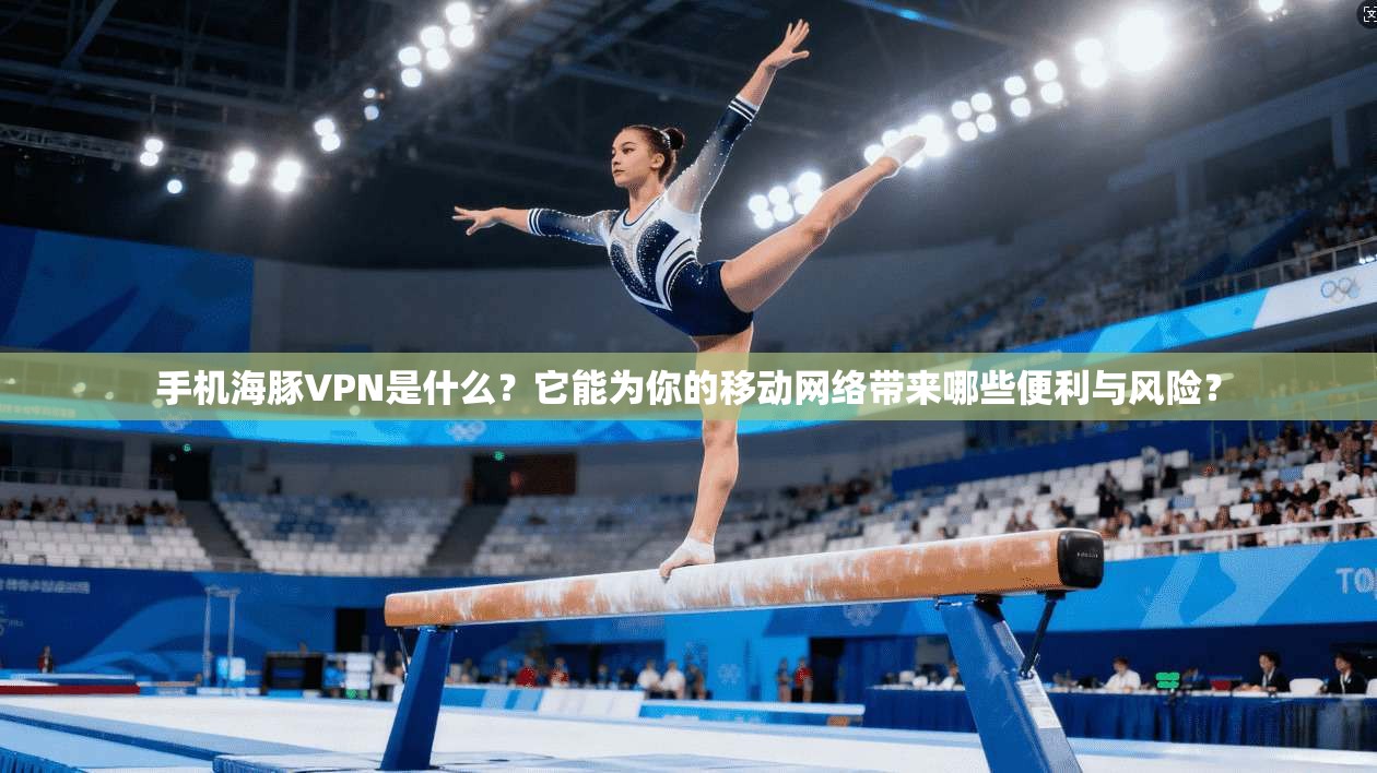 手机海豚VPN是什么？它能为你的移动网络带来哪些便利与风险？