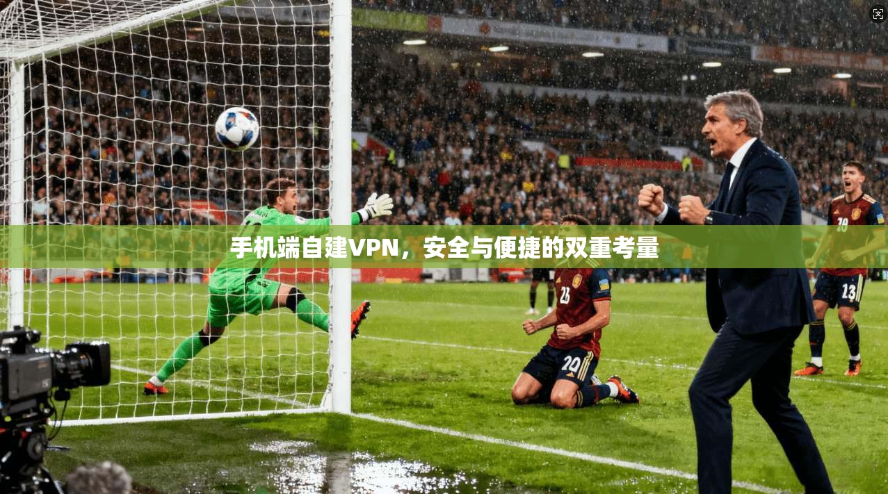 手机端自建VPN，安全与便捷的双重考量