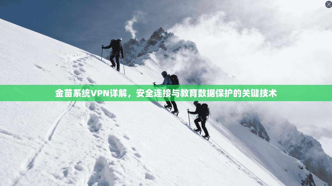 金苗系统VPN详解，安全连接与教育数据保护的关键技术