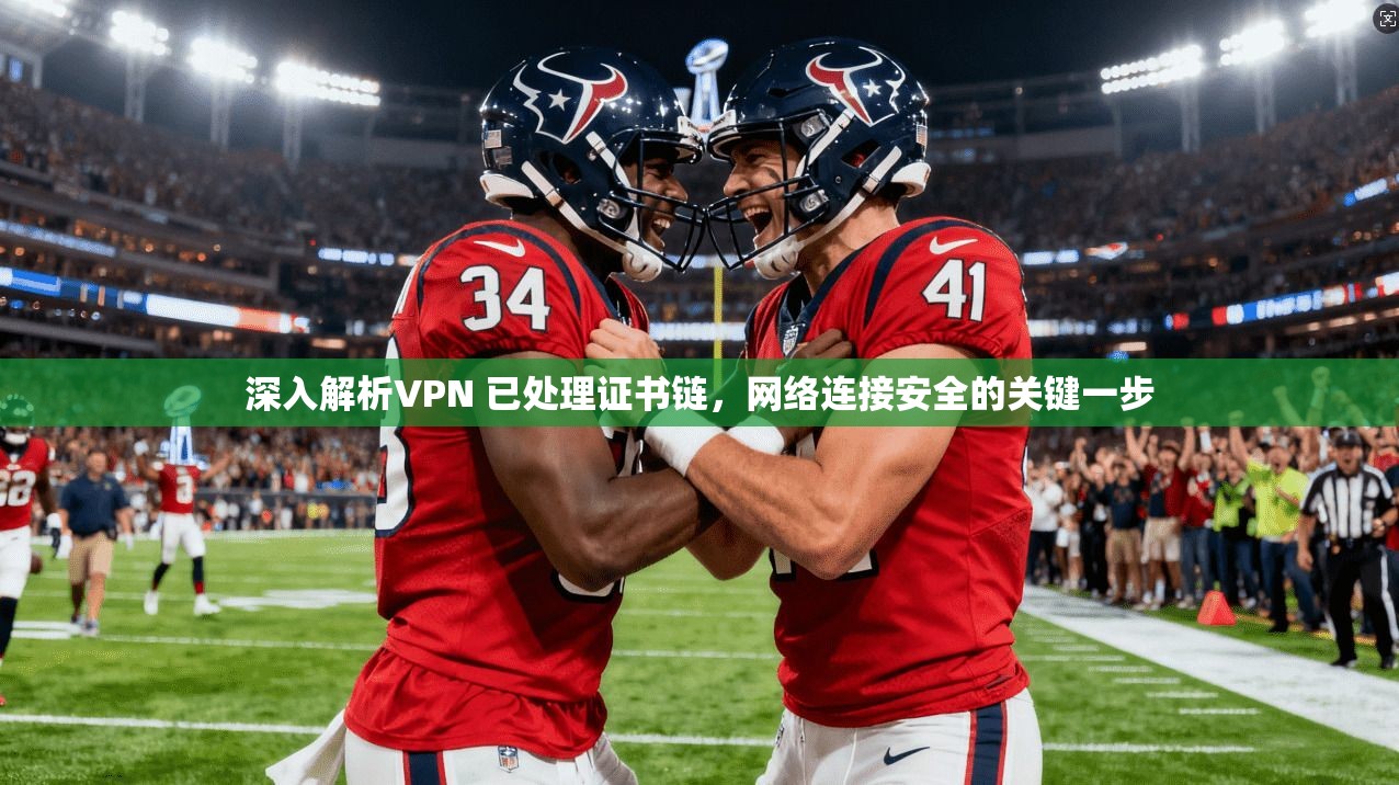 深入解析VPN 已处理证书链，网络连接安全的关键一步