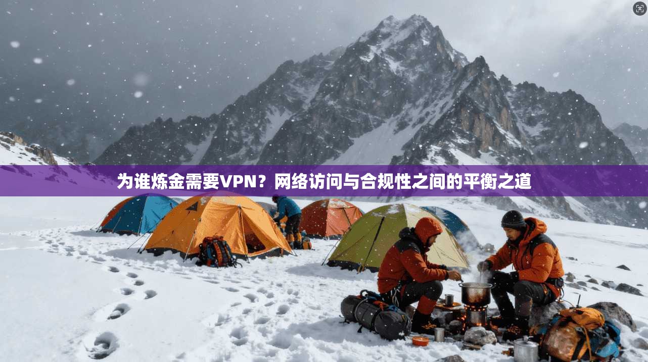 为谁炼金需要VPN？网络访问与合规性之间的平衡之道
