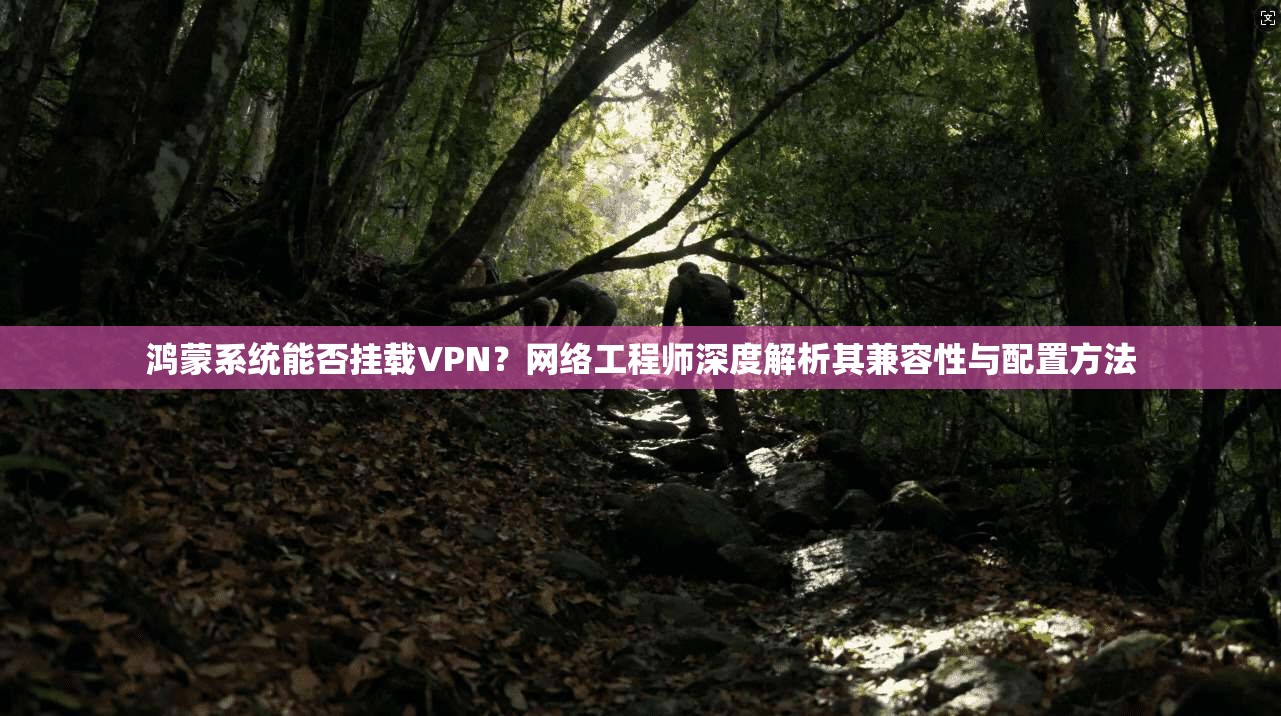 鸿蒙系统能否挂载VPN？网络工程师深度解析其兼容性与配置方法