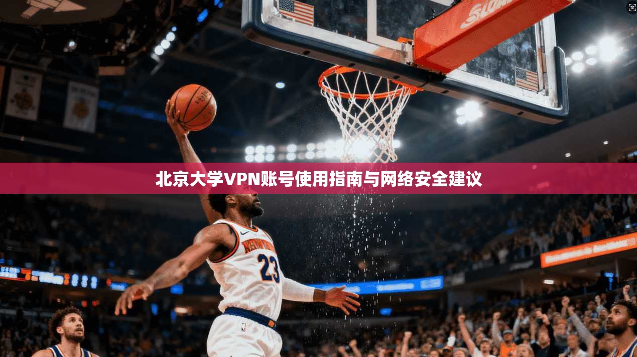 北京大学VPN账号使用指南与网络安全建议