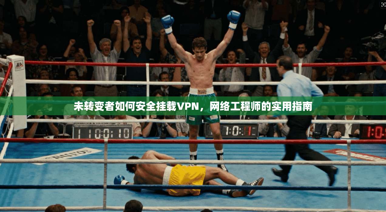 未转变者如何安全挂载VPN，网络工程师的实用指南