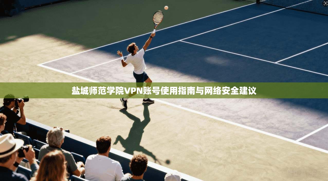 盐城师范学院VPN账号使用指南与网络安全建议