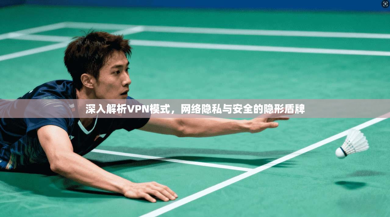 深入解析VPN模式，网络隐私与安全的隐形盾牌