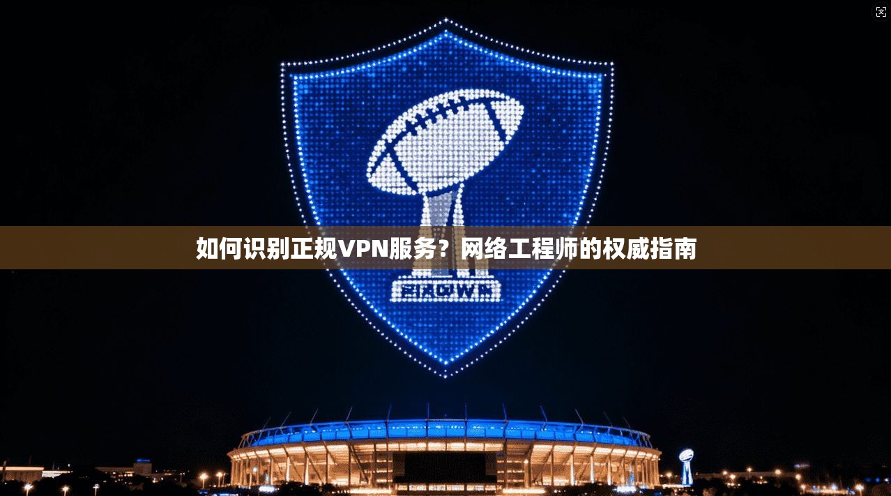 如何识别正规VPN服务？网络工程师的权威指南