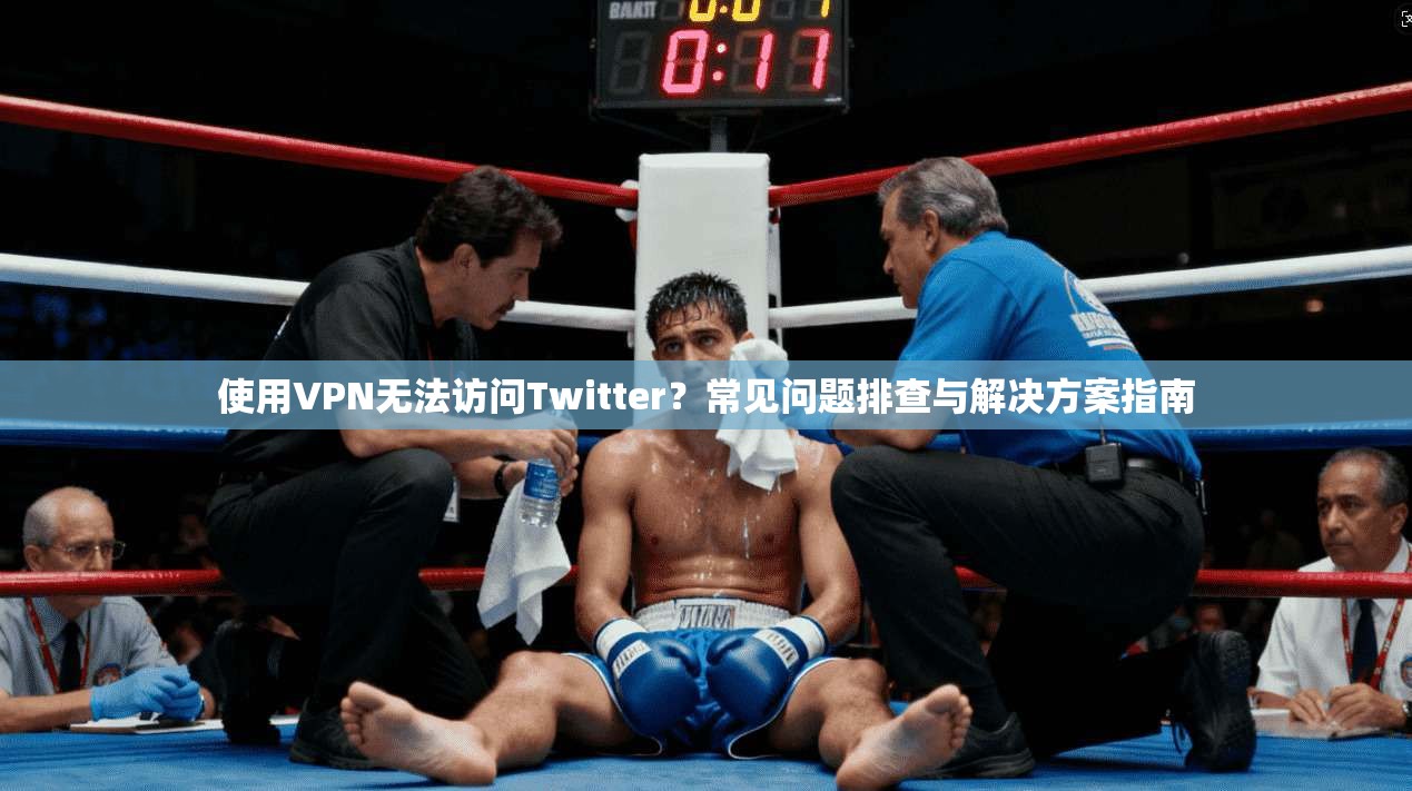 使用VPN无法访问Twitter？常见问题排查与解决方案指南