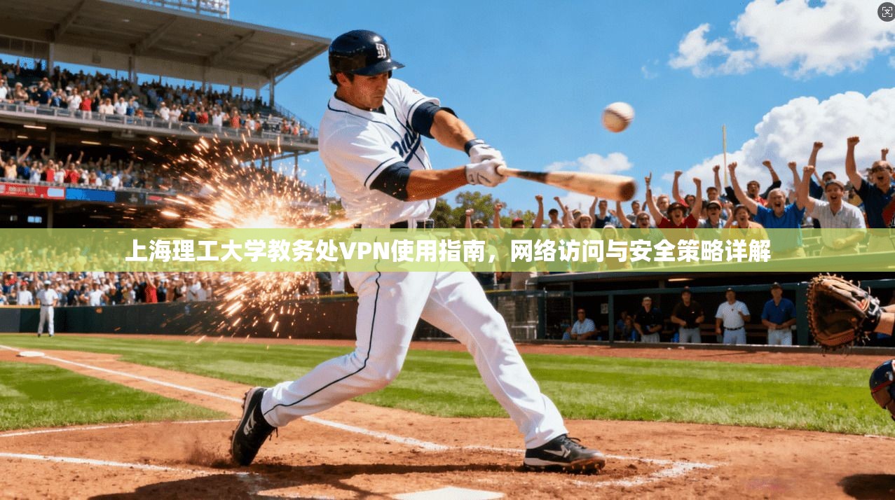 上海理工大学教务处VPN使用指南，网络访问与安全策略详解