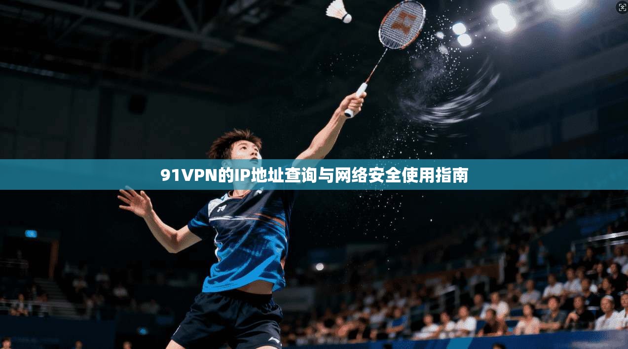 91VPN的IP地址查询与网络安全使用指南