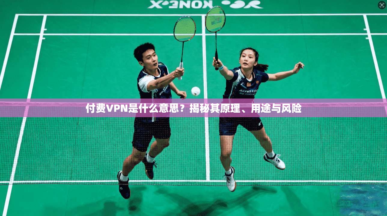 付费VPN是什么意思？揭秘其原理、用途与风险