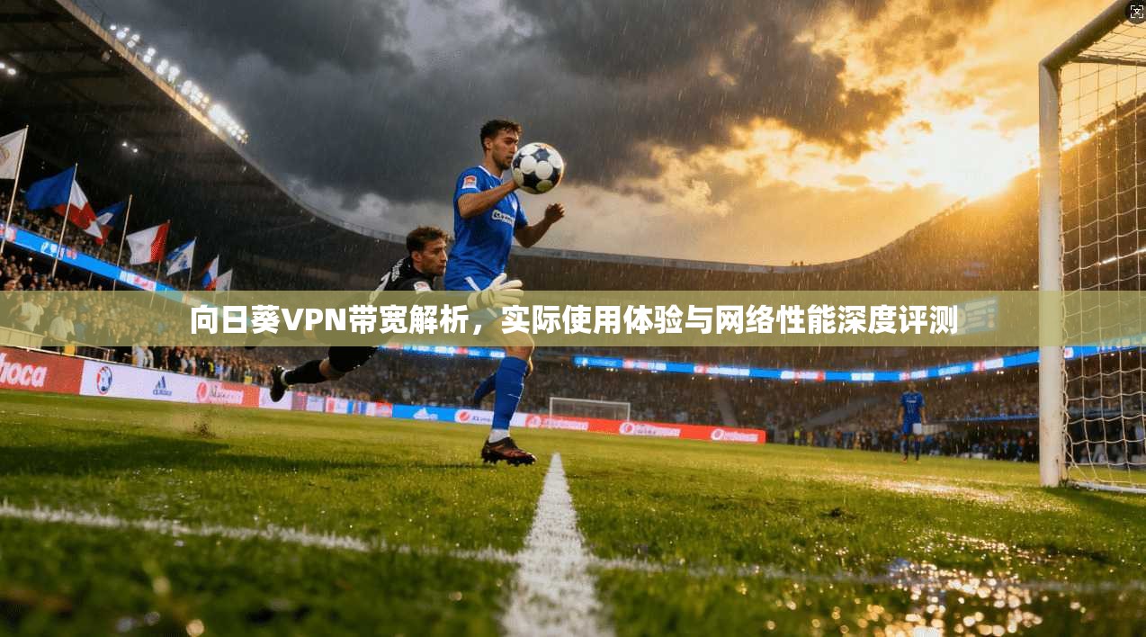 向日葵VPN带宽解析，实际使用体验与网络性能深度评测