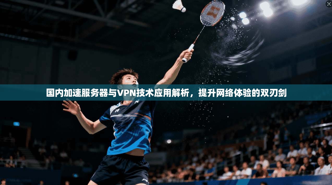 国内加速服务器与VPN技术应用解析，提升网络体验的双刃剑